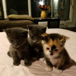 Meet your Posher, Jane